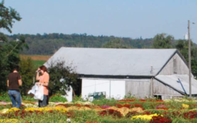 Brummer's Happy Breeze Farm Market | Pennsylvania